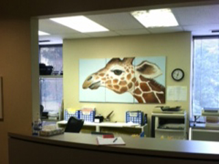 Charlotte child surgeon giraffe photo